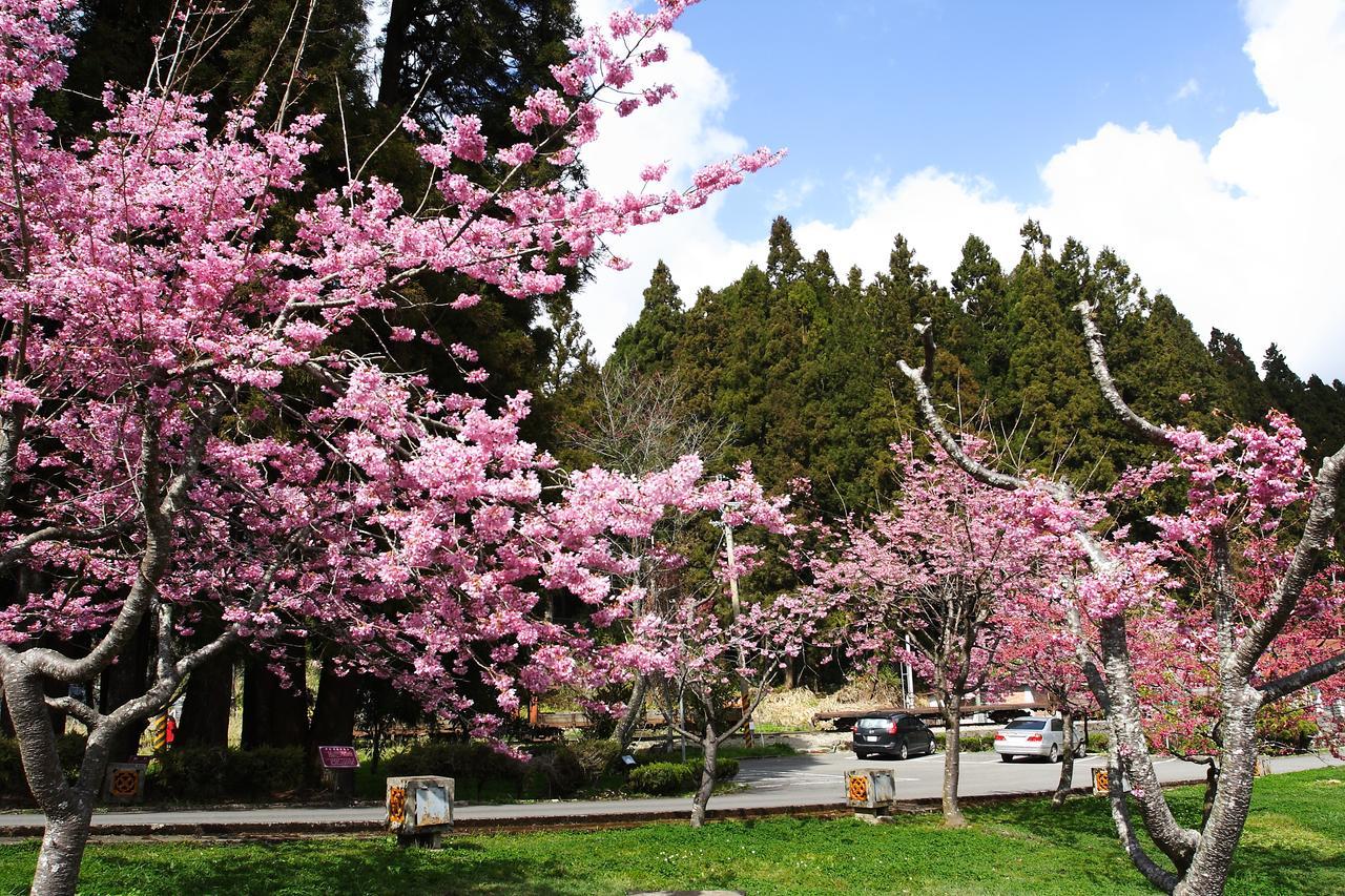 Alishan Youth Activity Center Zhongzheng  Exterior foto